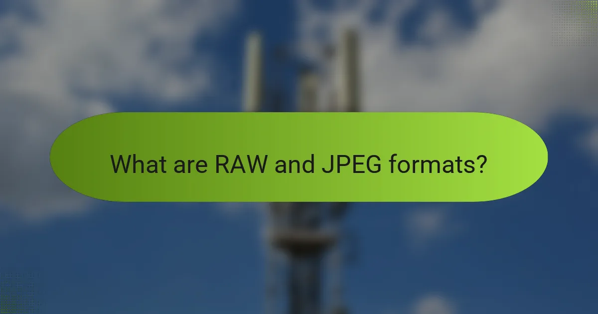 What are RAW and JPEG formats?