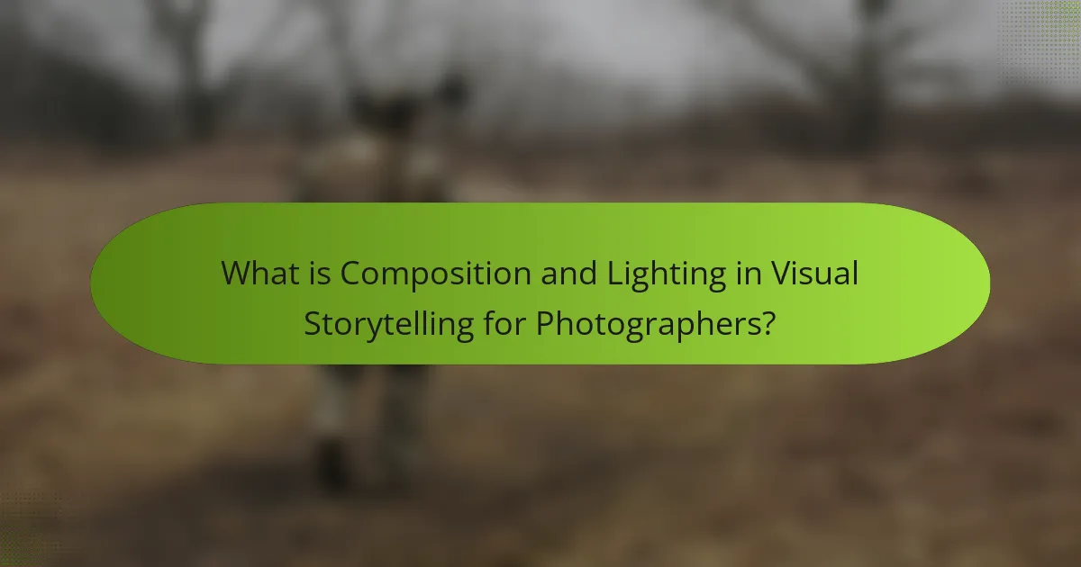 What is Composition and Lighting in Visual Storytelling for Photographers?